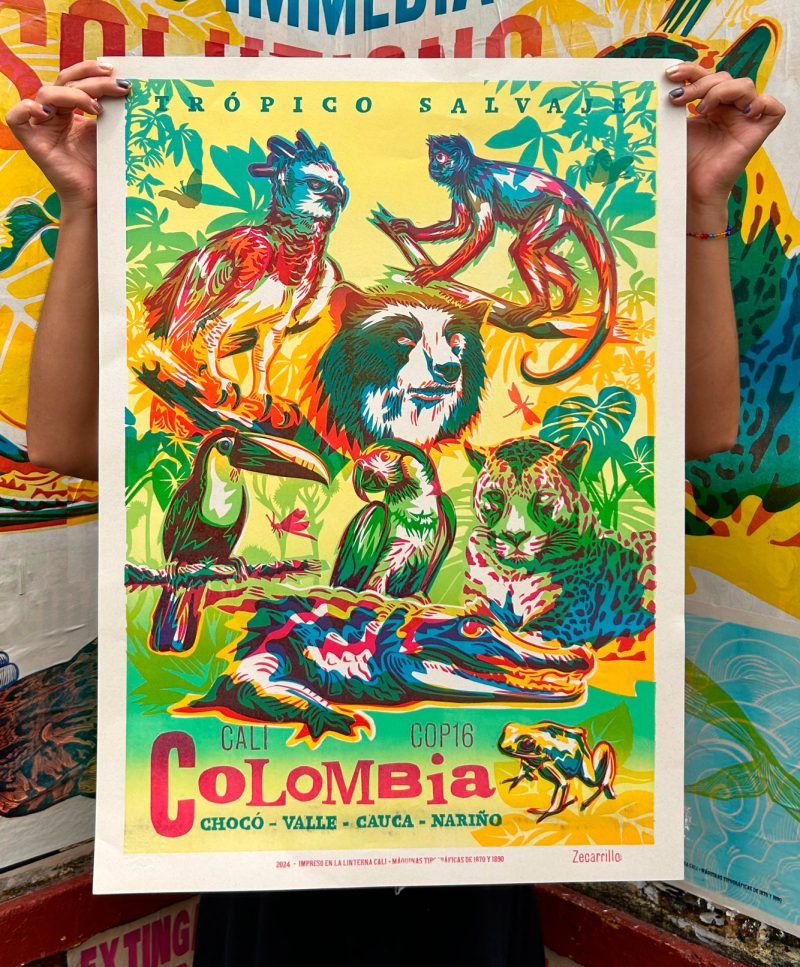 COLOMBIA PACIFICO – CHOCO CAUCA VALLE NARIÑO 1/2
