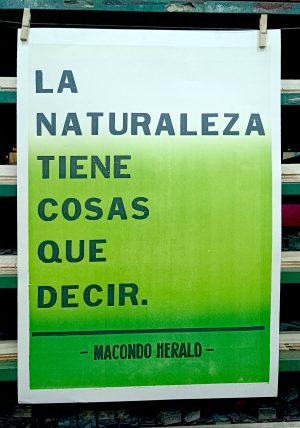 LA NATURALEZA 1/2
