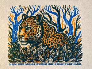 POSTAL - EL JAGUAR ACECHA LA NOCHE