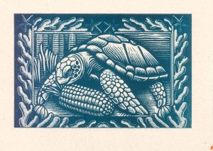 POSTAL TORTUGA