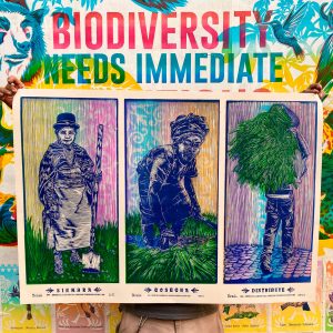 SIEMBRA, COSECHA, DISTRIBUYE - PLIEGO