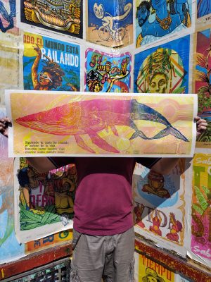 OCEANO DE LA VIDA V3 1/4