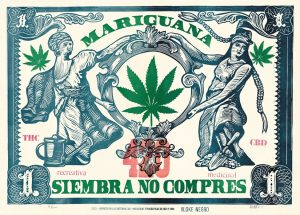 NO COMPRES 1/2
